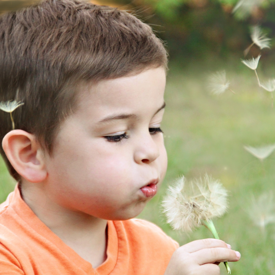 Boy blowing on flowers